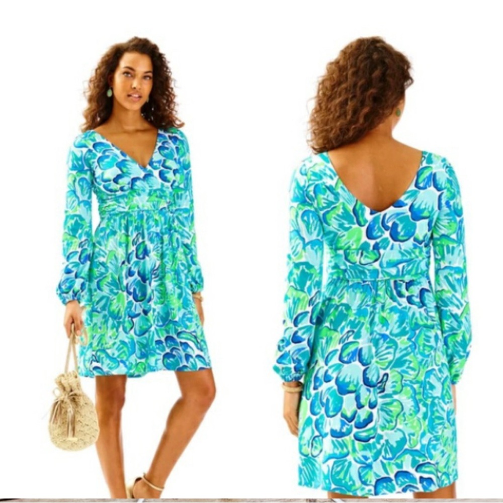 Lilly Pulitzer Fleur Dress Green and Blue
Agate Lazy River Large
EUC